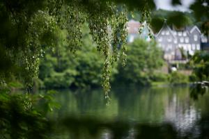 D85 2346 Jun 10 2019 11-35 