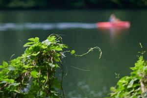 D85 2446 Jun 10 2019 12-23 